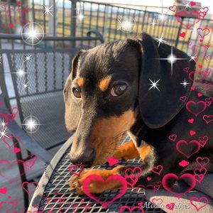 Meet your Posher, Terri